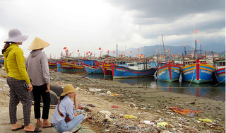 Việt Nam đang có khoảng 10000 tàu cá 'mắc cạn'
