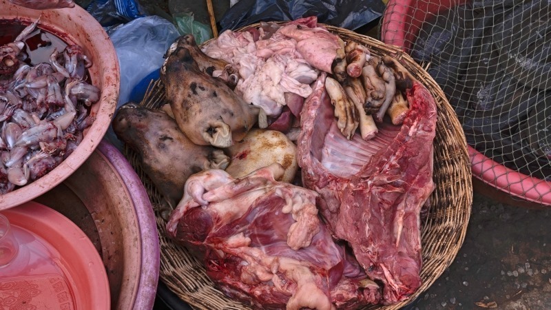 FOUR PAWS và ACPA đề nghị VN cấm giết mổ và tiêu thụ thịt chó, mèo do lo ngại nguy cơ bùng phát đại dịch mới như COVID-19