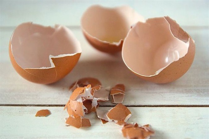 Biết được những tác dụng bất ngờ của vỏ trứng, bạn sẽ không nỡ vứt đi