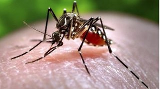 Triệu chứng, cách phòng tránh khi bị nhiễm Virus Zika 