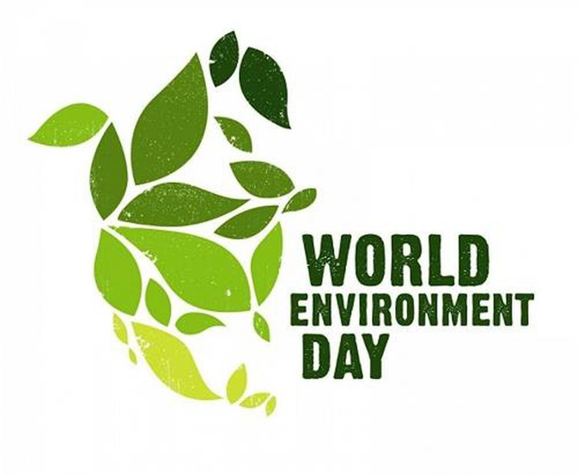 Ngày môi trường thế giới diễn ra vào ngày nào