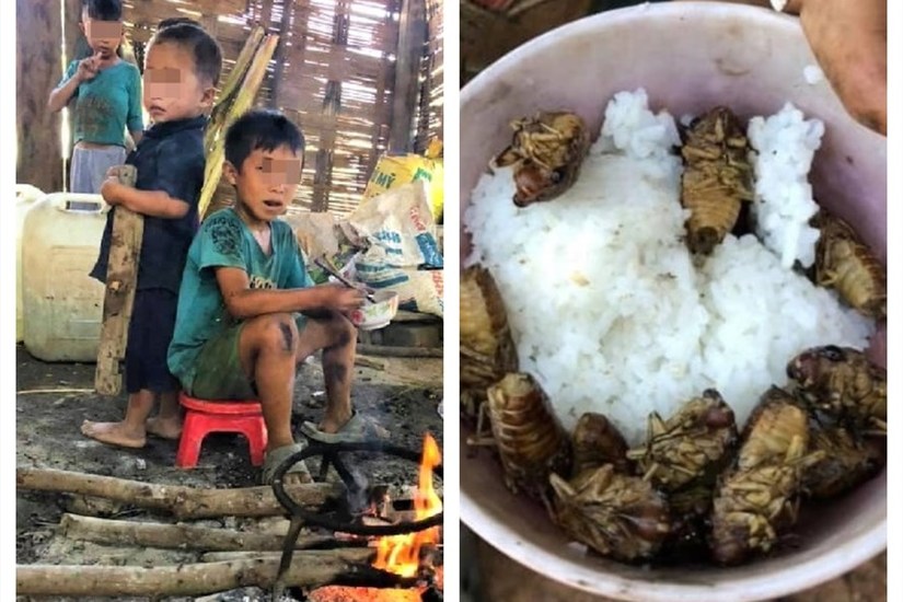 Lãnh đạo huyện nói gì về 4 đứa trẻ Đắk Lắk ăn cơm nguội với ve sầu?