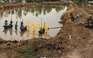 Người đàn ông bị cánh quạt máy sục khí cuốn rách bộ phận sinh dục