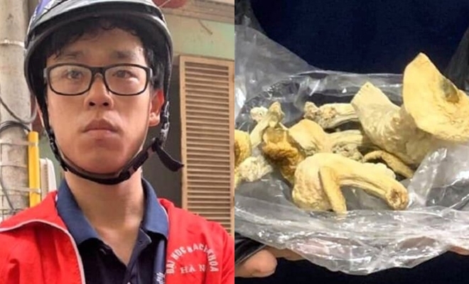 Bắt giữ nam sinh viên trồng 'nấm ma túy' lần đầu xuất hiện ở Hà Nội