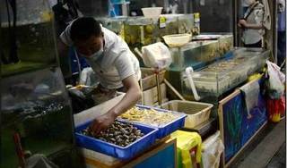 Nguồn phát tán Covid-19 mới ở Bắc Kinh được nghi là ở chợ hải sản