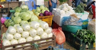 Campuchia cấm nhập khẩu 6 loại nông sản Việt do không khai báo kiểm dịch