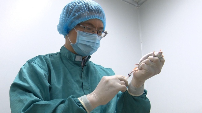 Việt Nam thử nghiệm thành công vaccine Covid-19 trên chuột