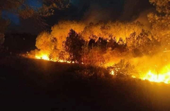 Cháy rừng diện rộng, người dân 3 huyện ở Nghệ An trắng đêm dập lửa