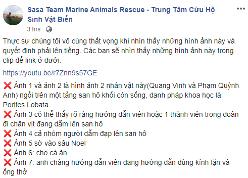 Quang Vinh - Phạm Quỳnh Anh bị lên án vì hành động phá hoại tài nguyên thiên nhiên biển