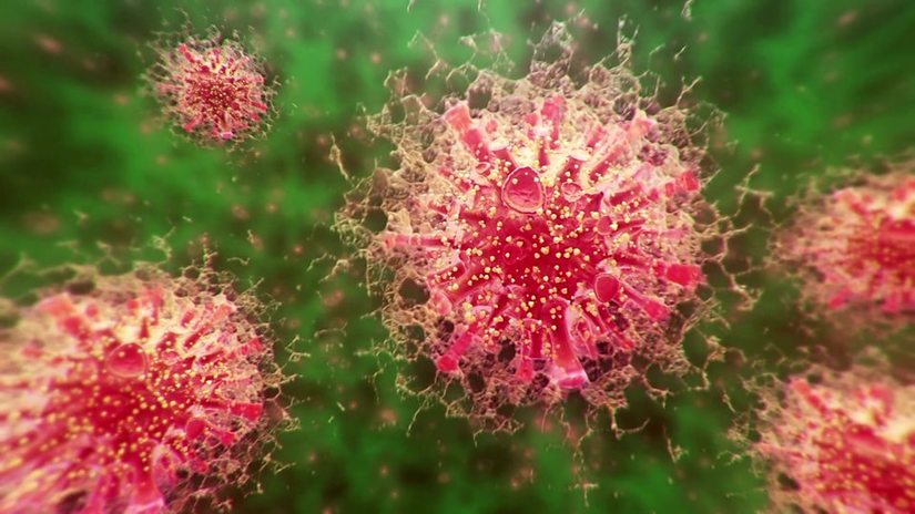 Biến chủng mới của virus corona đang lây lan nhanh trên toàn cầu, vượt qua chủng ban đầu ở Vũ Hán