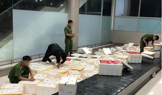13 tấn dâu tây tươi Trung Quốc tuồn lên Đà Lạt, chủ hàng biến mất