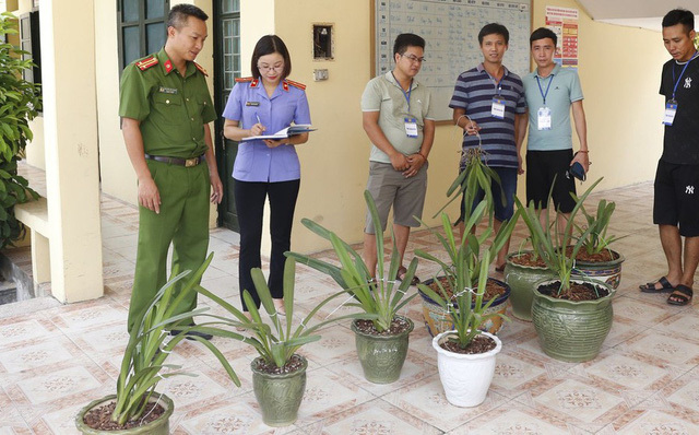 Bắt hai đối tượng ở Nam Định trộm lan quý có giá tiền tỷ