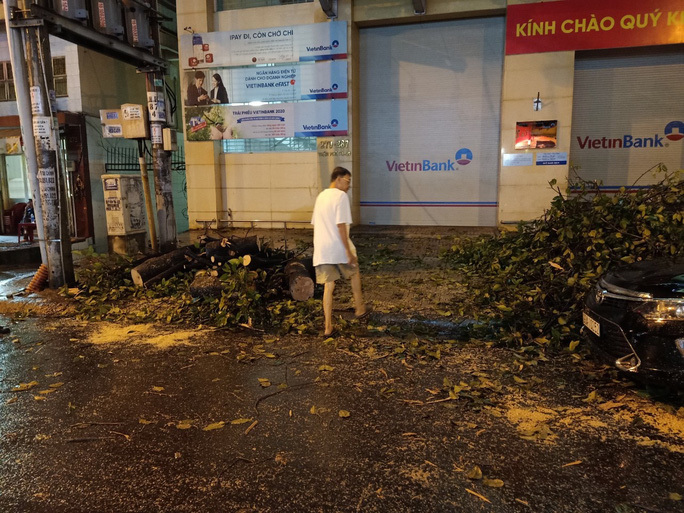 TP HCM mưa lớn, cây cổ thụ đổ đè bẹp xe ô tô và làm nhiều người khác bị thương. ảnh 2