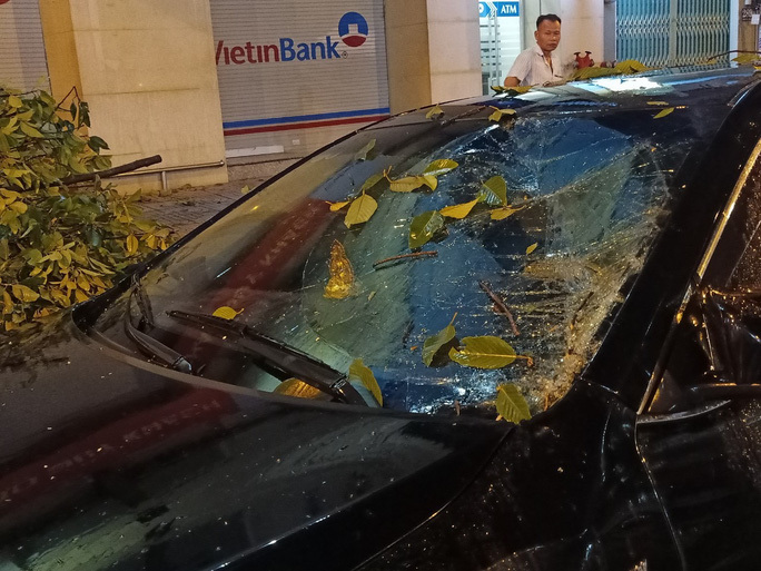 TP HCM mưa lớn, cây cổ thụ đổ đè bẹp xe ô tô và làm nhiều người khác bị thương. ảnh 1