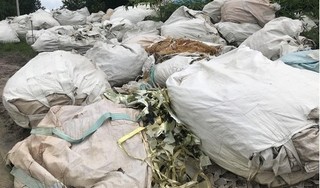 Bắt quả tang đối tượng chôn lấp rác thải y tế không qua xử lý tại Tây Ninh