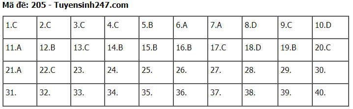 Đáp án đề thi môn Lý mã đề 205 kỳ thi THPT Quốc Gia 2020