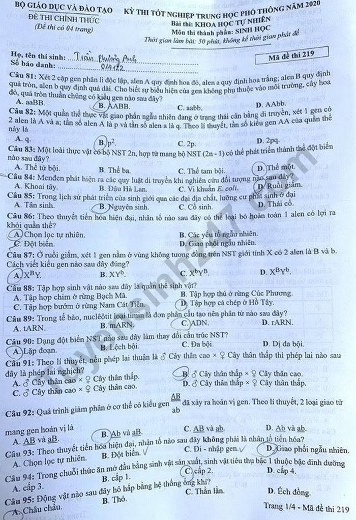 Đáp án đề thi môn Sinh học mã đề 219 kỳ thi THPT Quốc Gia 2020.1