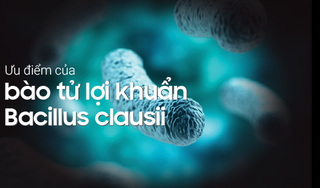 Ưu điểm của bào tử Bacillus clausii trong men vi sinh Bio Vigor