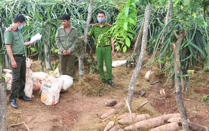 Đối tượng Nguyễn Đăng Thảo cất giấu thuốc nổ và đầu đạn trong vườn nhà