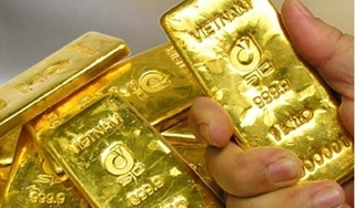 Dự báo giá vàng ngày 18/9: Vàng đang bắt đầu một đợt tăng giá mới