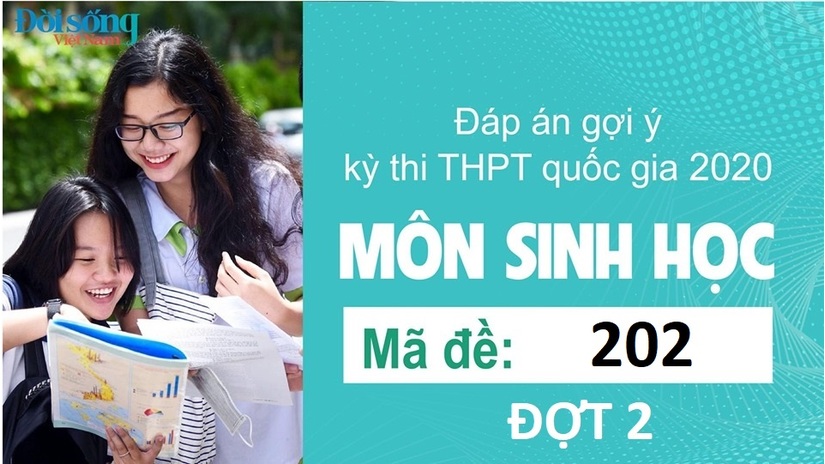 Đáp án đề thi môn Sinh học mã đề 202 kỳ thi THPT Quốc Gia 2020 đợt 2