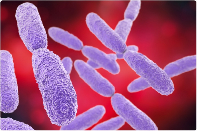 Vi khuẩn đa kháng thuốc được phát hiện trong cơ thể bệnh nhân Covid-19
