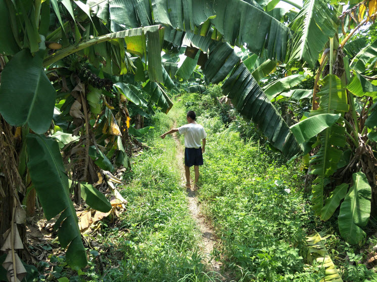 Bắt kẻ chặn đường, hiếp dâm bé gái 12 tuổi trong vườn chuối ở Hà Nội