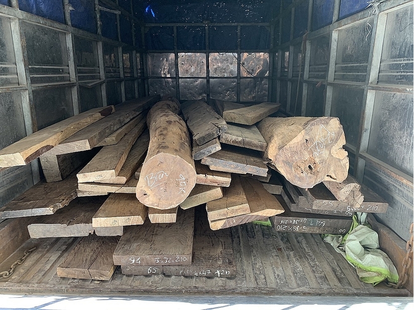 Bắt giữ tài xế ô tô tải nghi chở gỗ nhập lậu