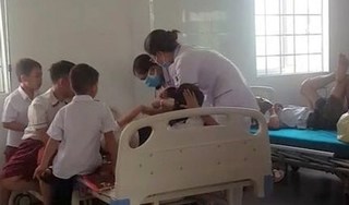 Gần 30 học sinh tiểu học nhập viện khẩn cấp do bị ong đốt