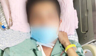 Người đàn ông nhập viện cấp cứu vì bị đàn ong vò vẽ tấn công