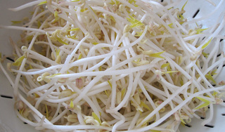 Tuyệt đối đừng mua giá đỗ có 3 dấu hiệu này kẻo 'tiền mất tật mang'