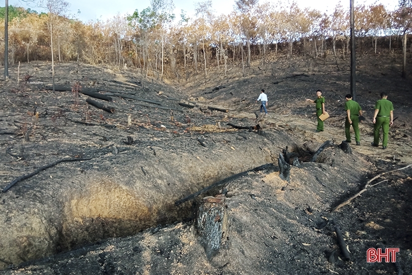 Phạt tiền người đàn ông gây cháy 620 m² rừng cao su ở Hà Tĩnh