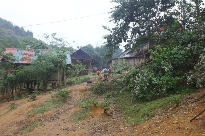 Nghi phạm truy sát hai mẹ con thương vong rồi trốn vào rừng ăn lá ngón tự tử