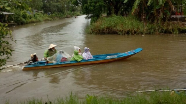 Một số huyện ở Cà Mau cho học sinh nghỉ học do mưa lớn kéo dài