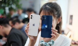 Những chiếc iPhone 12 đầu tiên về Việt Nam, rẻ nhất 23 triệu đồng