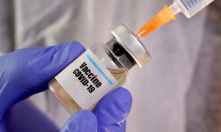 Việt Nam tiến hành tiêm thử nghiệm vaccine Covid-19 trên khỉ