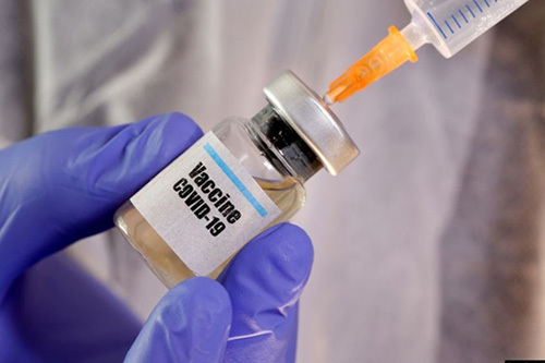 Việt Nam tiến hành tiêm thử nghiệm vaccine Covid-19 trên khỉ