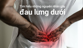 Tìm hiểu những nguyên nhân gây đau lưng dưới