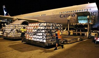  Úc chạy đua cứu 21 tấn tôm hùm sống bị chặn ở sân bay Trung Quốc