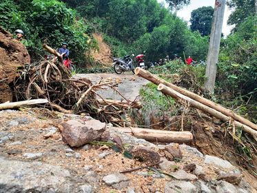 Cận cảnh sạt lở hiếm thấy tàn phá miền núi Bình Định