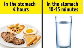Có nên uống nước trong khi ăn?