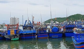 Khánh Hòa và Phú Yên sơ tán dân tránh bão số 12