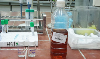 Vụ 1 người chết sau khi uống rượu ở Bắc Ninh: Cồn methanol công nghiệp nguy hiểm thế nào?