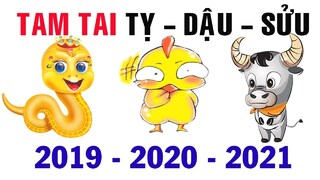 Hạn Tam Tai năm 2021: Tuổi Tỵ, Dậu, Sửu cần tránh làm gì trong năm Tân Sửu