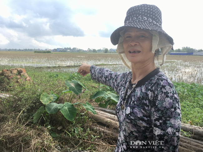 Hàng xóm kể chuyện Hoa hậu Đỗ Thị Hà từ nhỏ ra đồng, cấy gặt rất giỏi