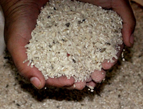 Những loại gạo có được biếu không cũng không ăn vì cực độc