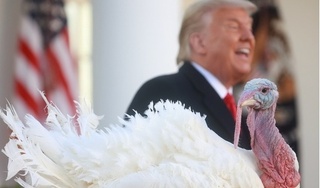 Nụ cười hiếm hoi của Tổng thống Donald Trump tại Lễ Tạ ơn