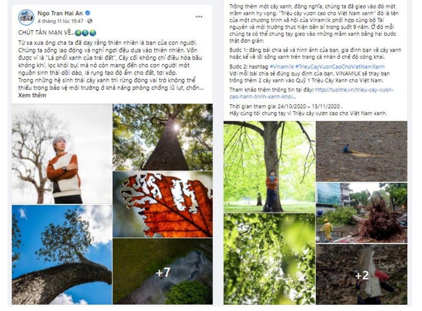 Thêm hàng ngàn cây xanh được trồng qua chiến dịch 'Triệu câu vươn cao cho Việt Nam xanh' do cộng đồng chung tay