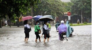 Hôm nay học sinh Khánh Hòa, Ninh Thuận nghỉ học phòng tránh mưa lũ