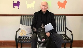 Ông Biden bị chấn thương khi chơi với thú cưng